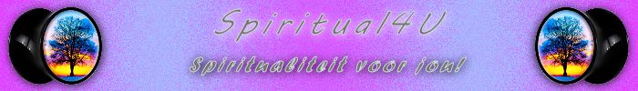 gallery/banner chi